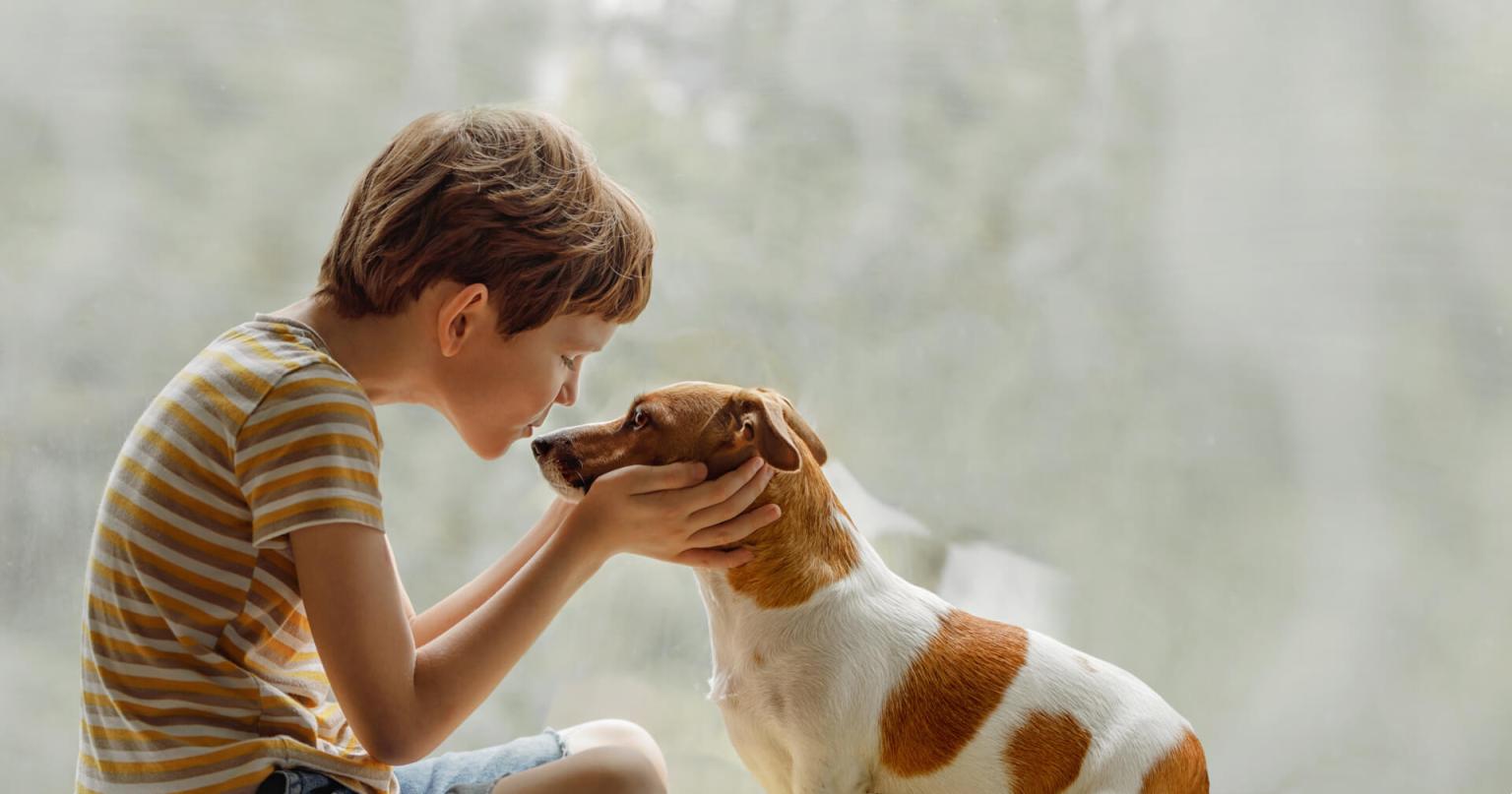 The benefits of pets for child development