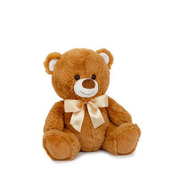 Buy brown My First Teddy Bears