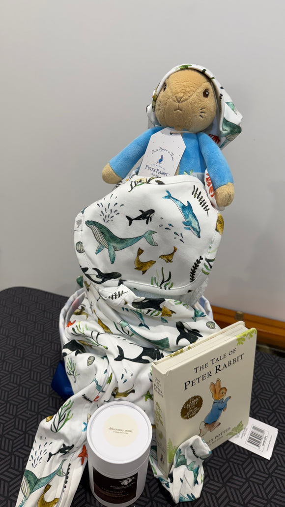 Winter Baby Boy Peter Rabbit Nappy Cake Hamper