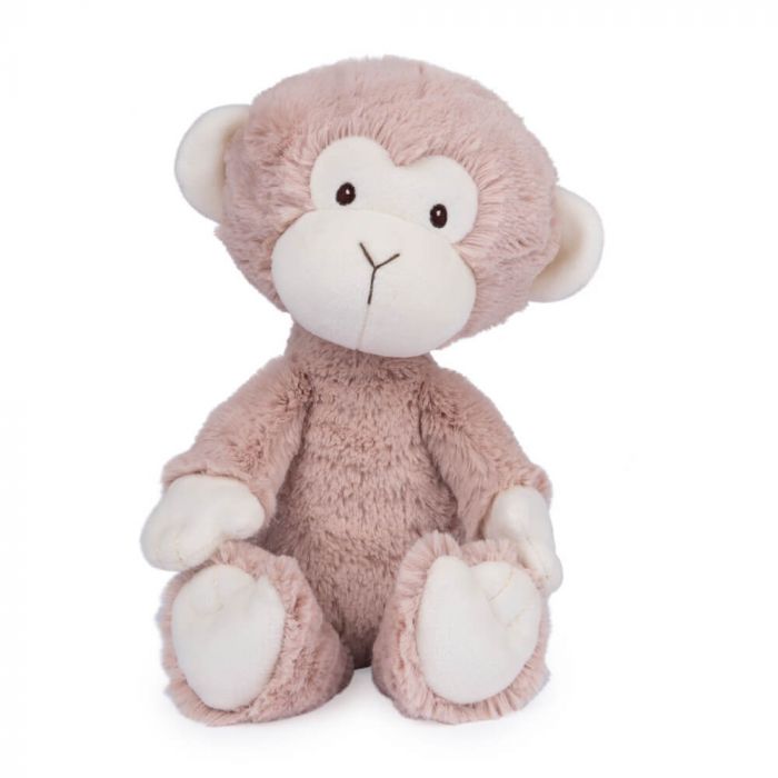 Micah Monkey